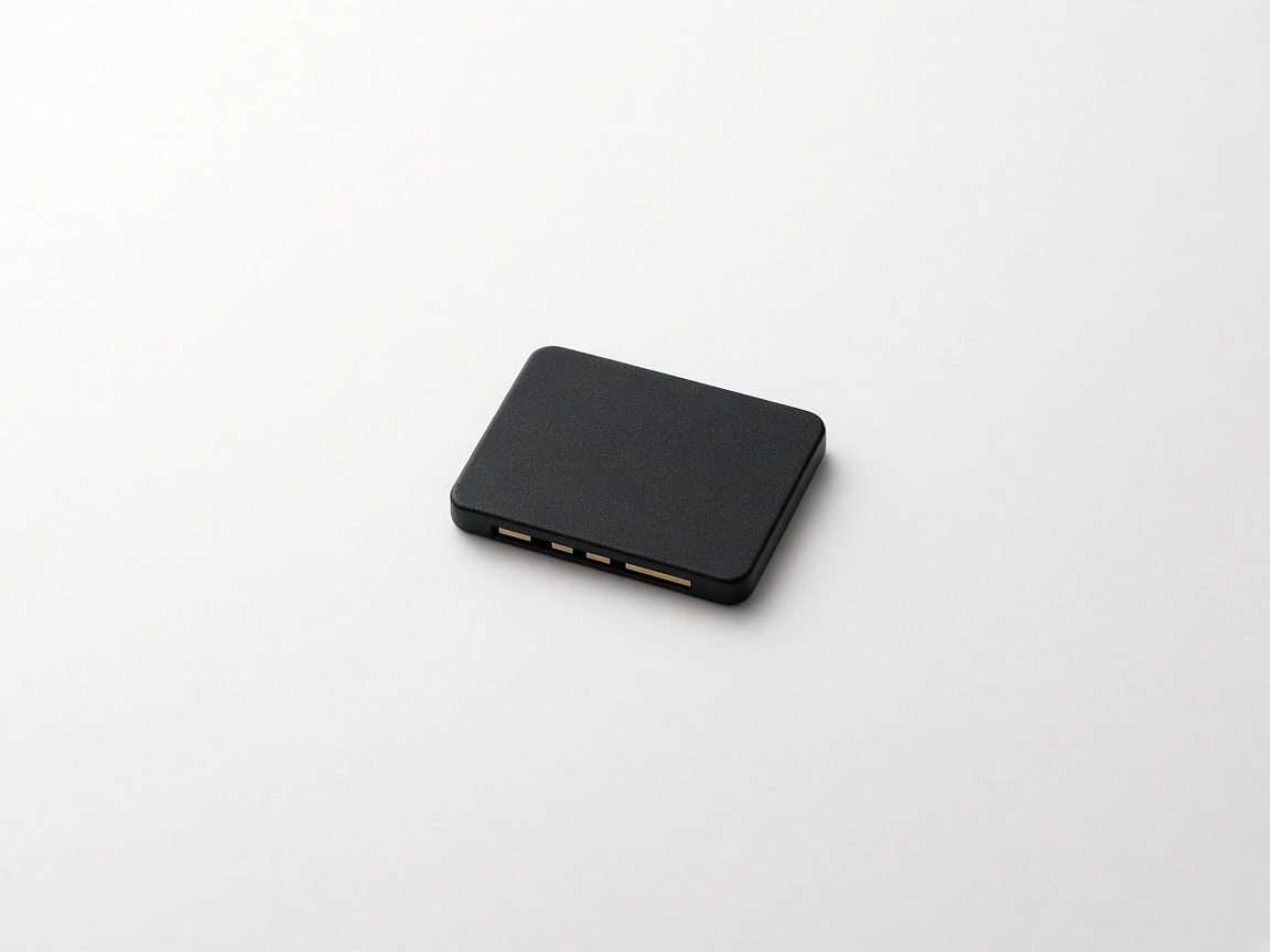 Petite carte mémoire